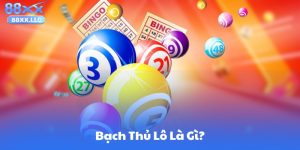 Bạch Thủ Lô Là Gì?