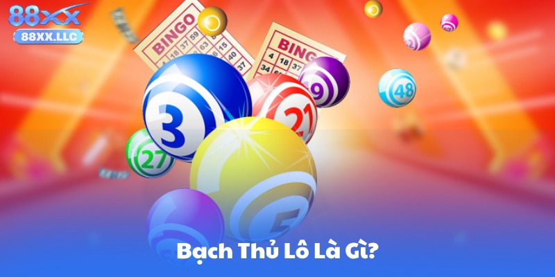 Bạch Thủ Lô Là Gì?