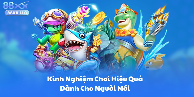 Kinh Nghiệm Chơi Hiệu Quả Dành Cho Người Mới