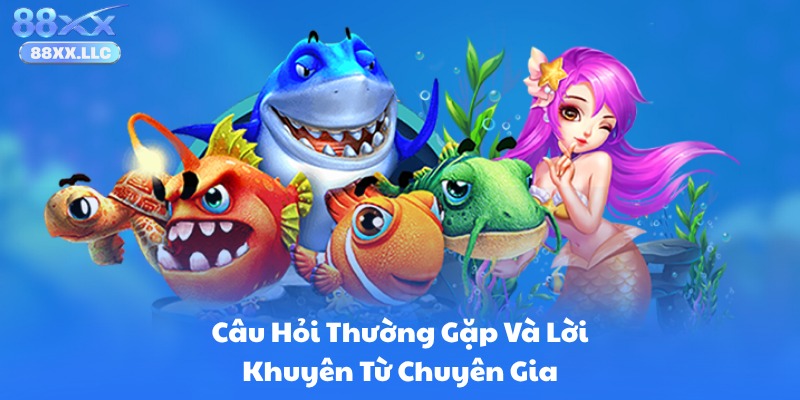 Câu Hỏi Thường Gặp Và Lời Khuyên Từ Chuyên Gia
