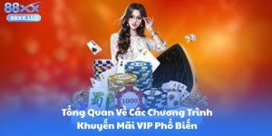 Tổng Quan Về Các Chương Trình Khuyến Mãi VIP Phổ Biến